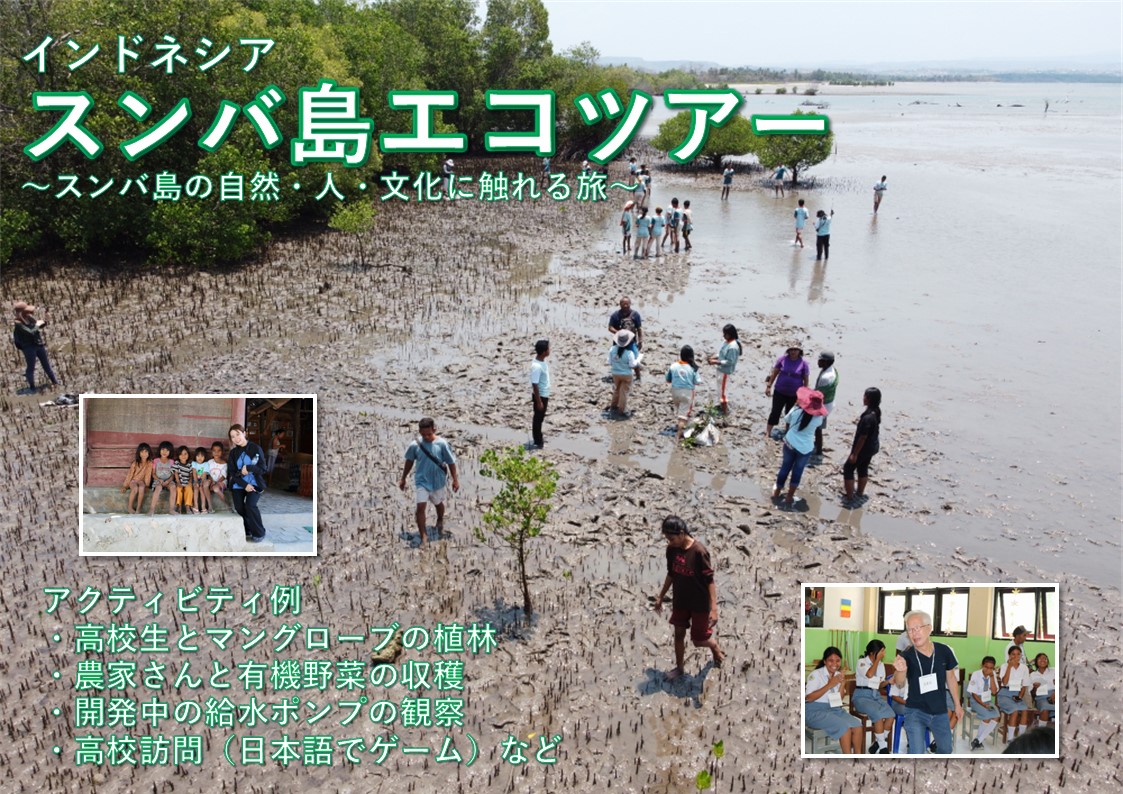 LIFE写真